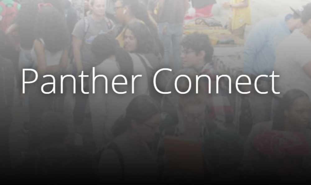 Banner reading "Panther Connect" over collage of photos of students