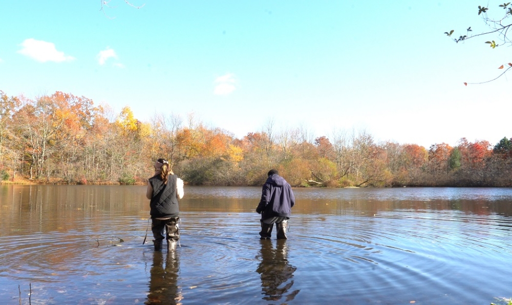 Two students wading in Wantagh waterway